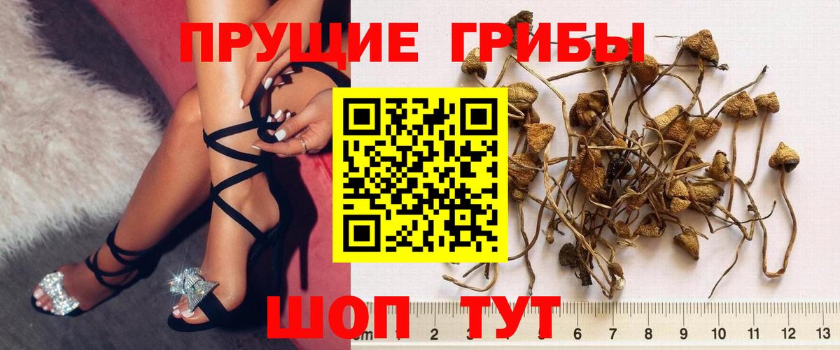 Галлюциногенные грибы мицелий  Вход с VPN  Обь  Галлюциногенные грибы ЛСД 